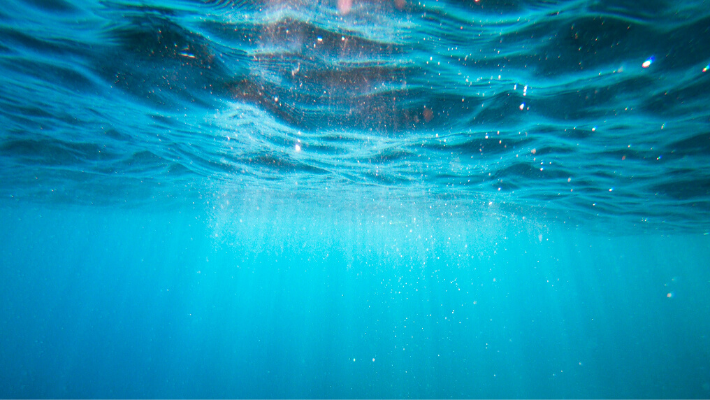 Underwater in the ocean