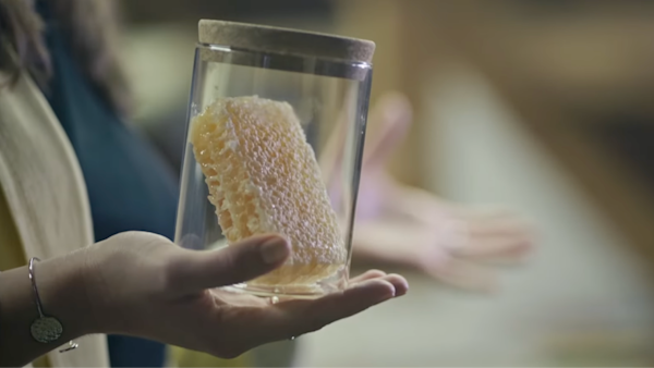 person holding honeycomb