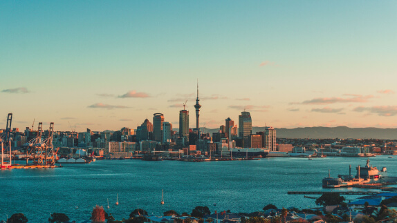 Landscape of Auckland City