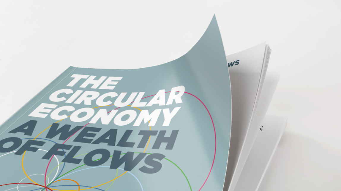 The circular economy A wealth of flows report front cover