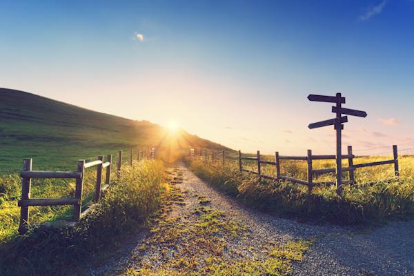 Country path with wooden fences and signpost