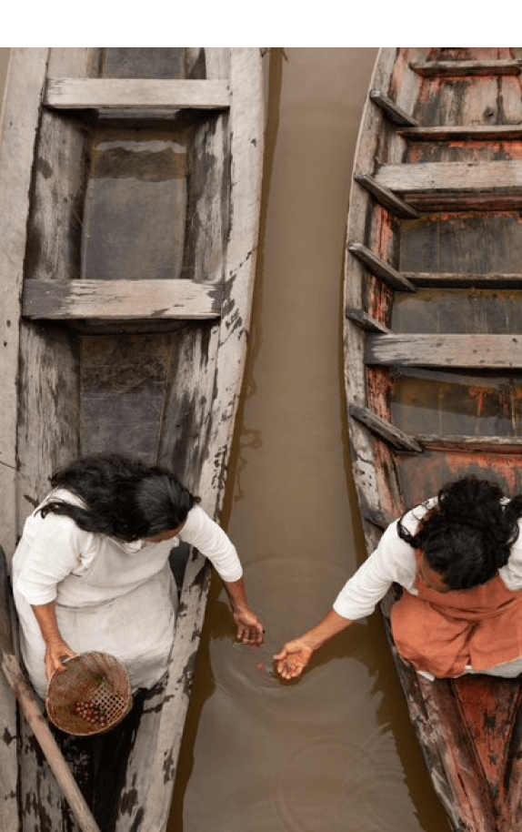 Photo of people in canoes