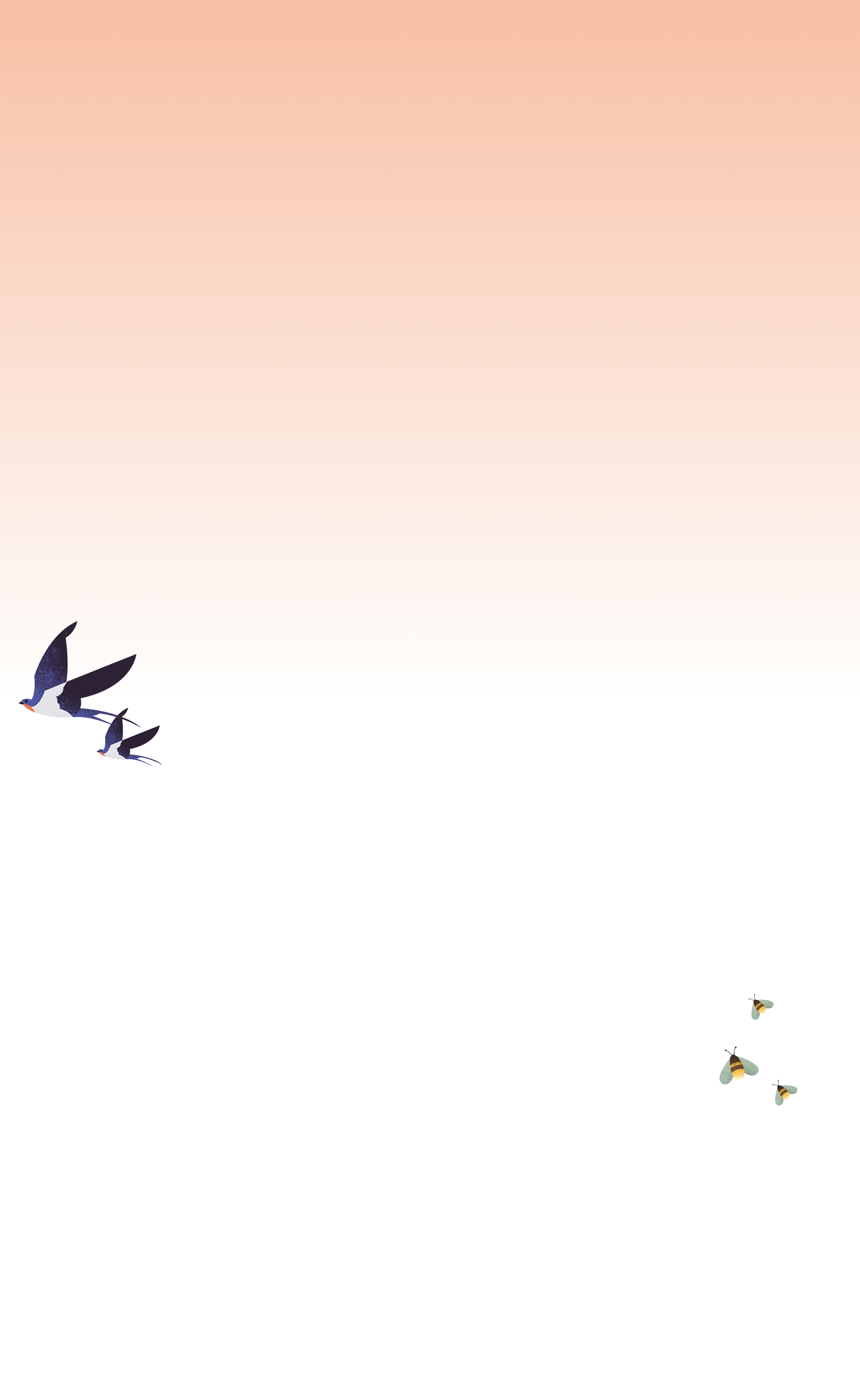 Gradient