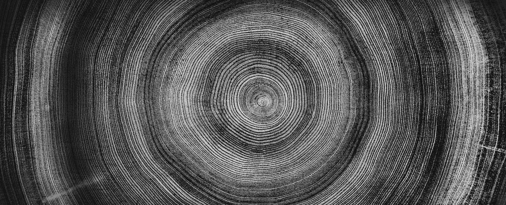 Circles inside a tree