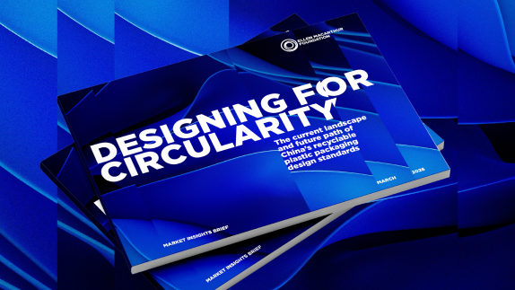 China plastic report cover