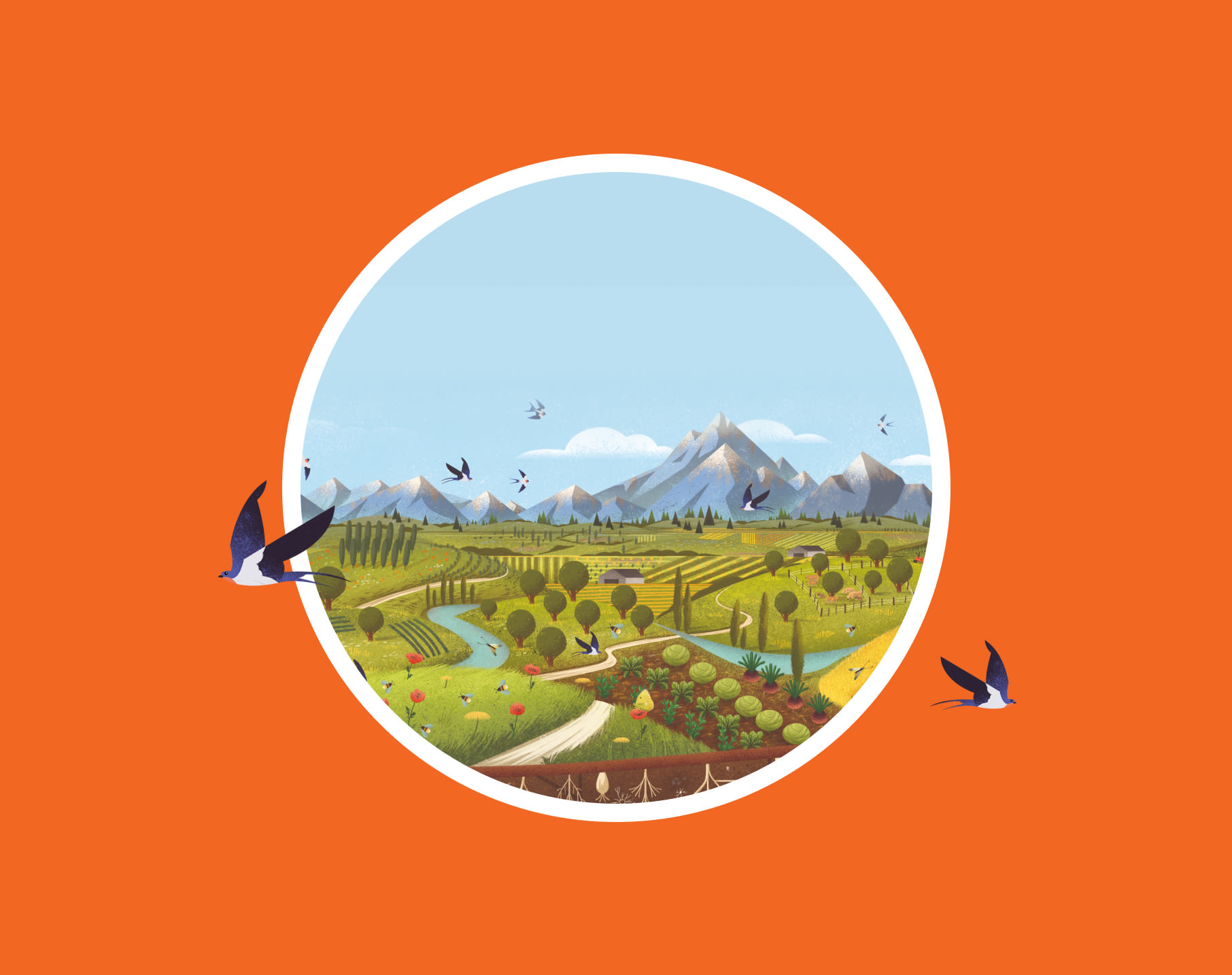 Orange background with circle in the middle. Inside the circle is an illustration of fields and mountains.