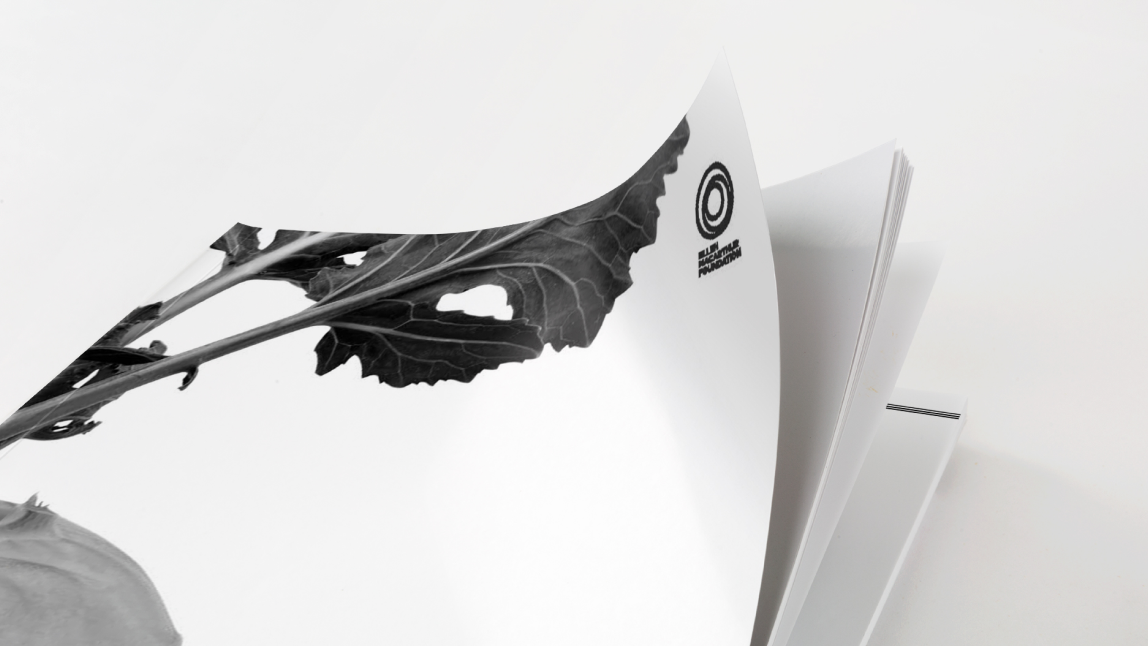 Cities and circular economy for food report front cover