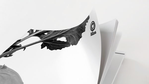 Cities and circular economy for food report front cover