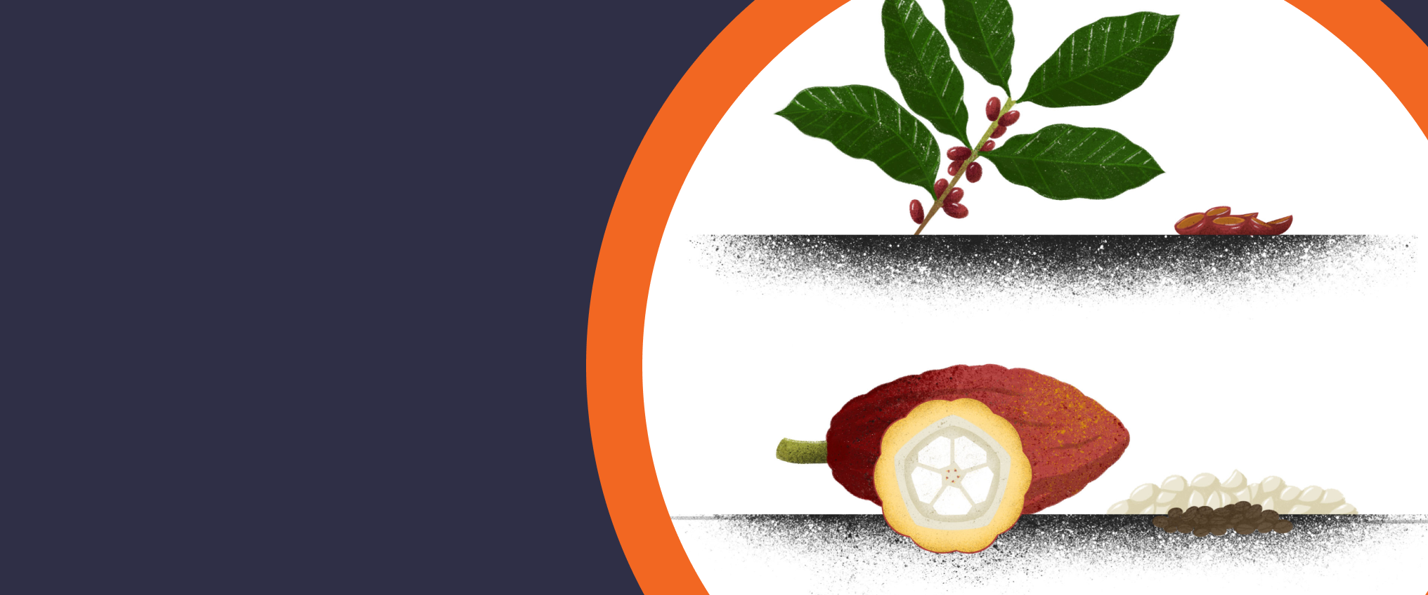 illustration of products