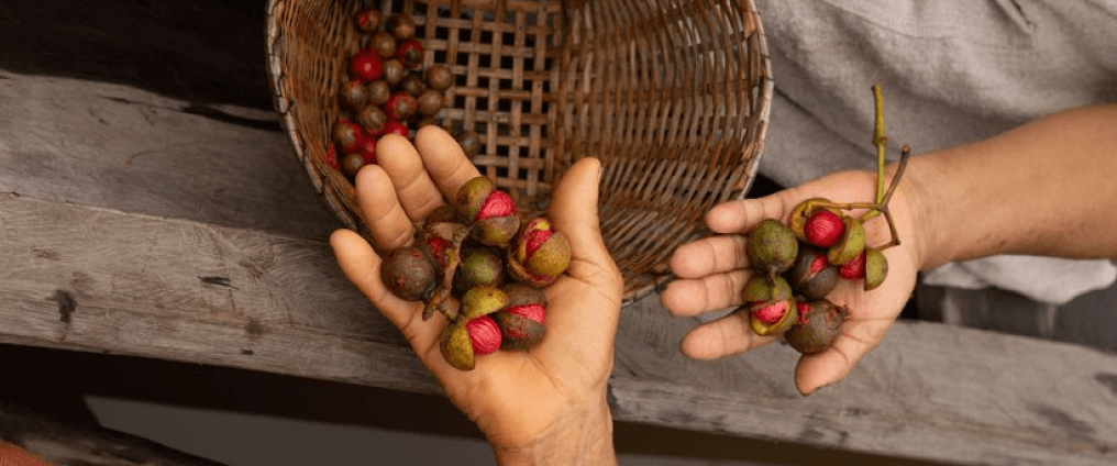 People holding food with wicker basket