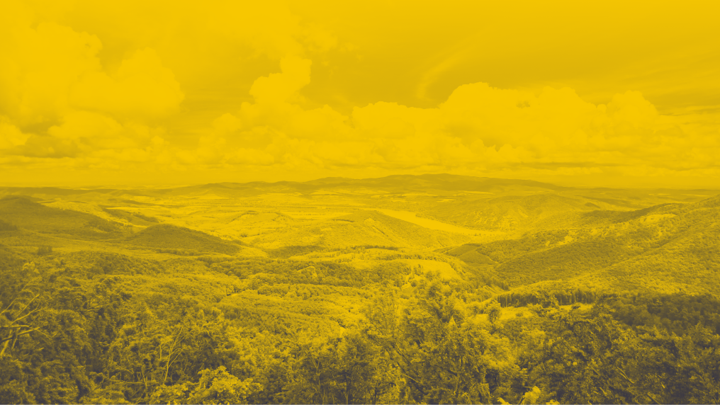 A close-up shot of nature, specifically showing land and its overall environment.