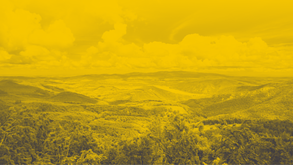 A close-up shot of nature, specifically showing land and its overall environment.