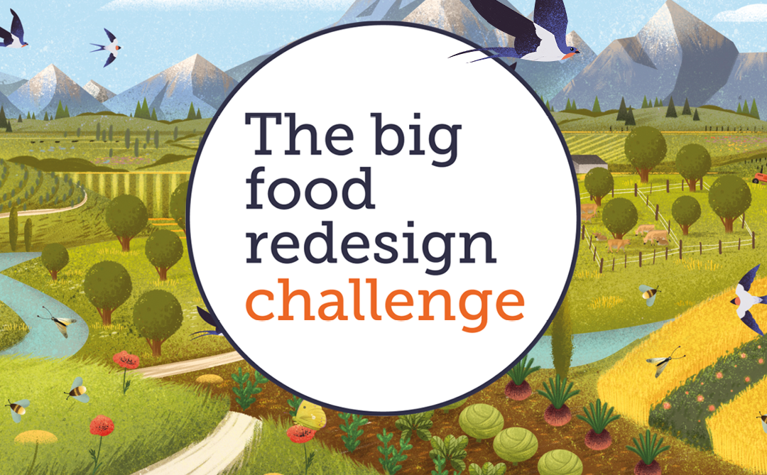 Birds fly into a diverse farming landscape and towards The Big Food Redesign Challenge logo
