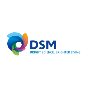 DSM的标志