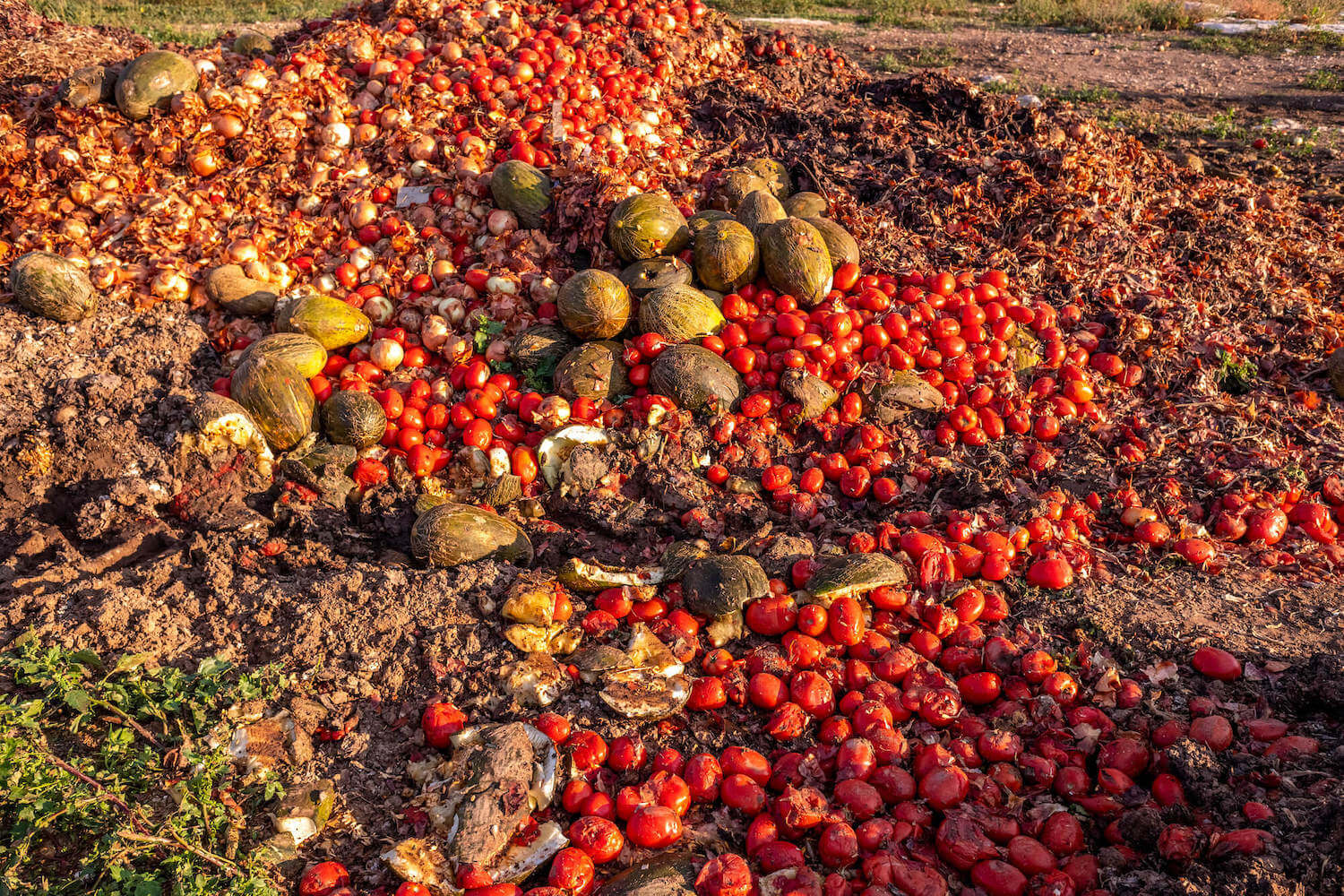 Our city food systems can tackle climate change