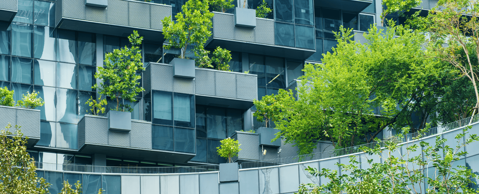 Photo of building with trees growing on it