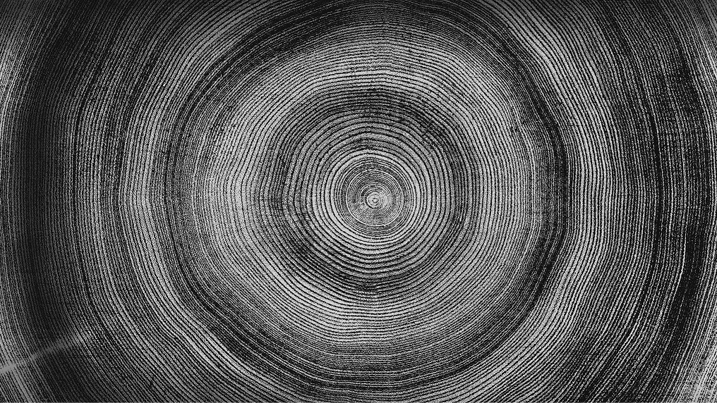 Circles inside a tree