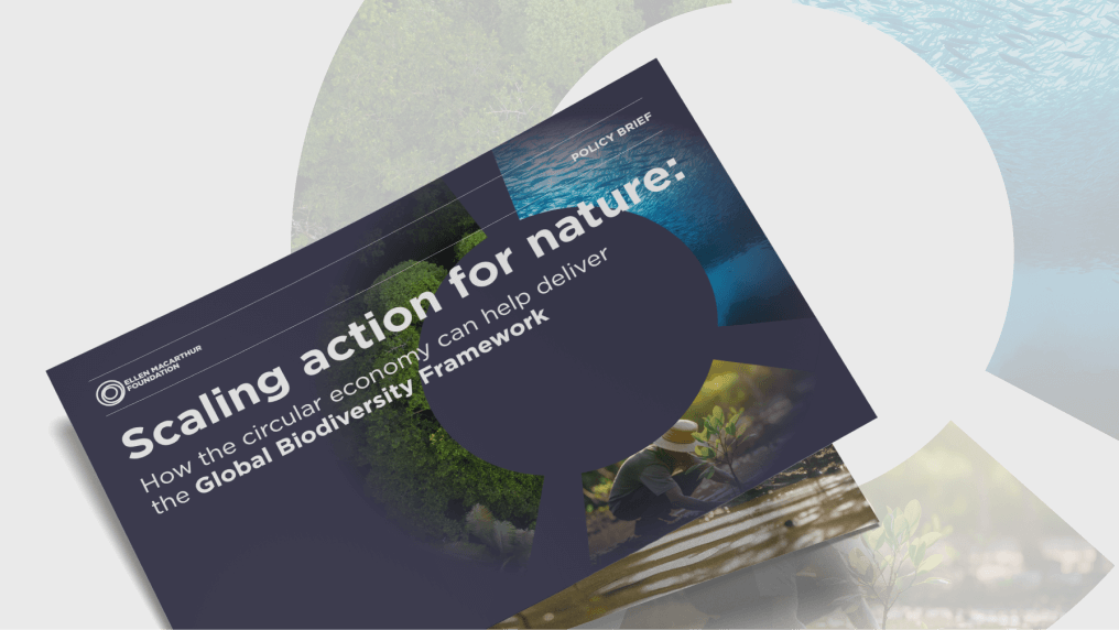 Report cover of Scaling action for nature: How the circular economy can help deliver the Global Biodiversity Framework