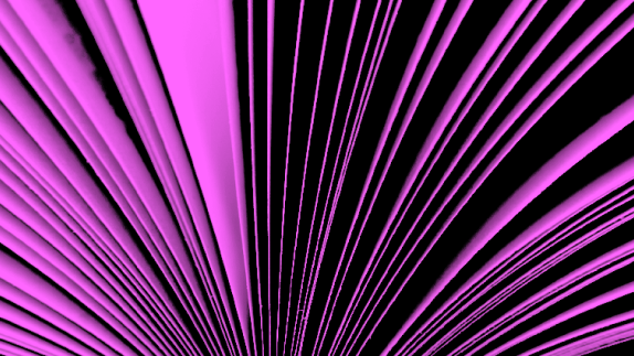 yachtswoman dame ellen abstract image