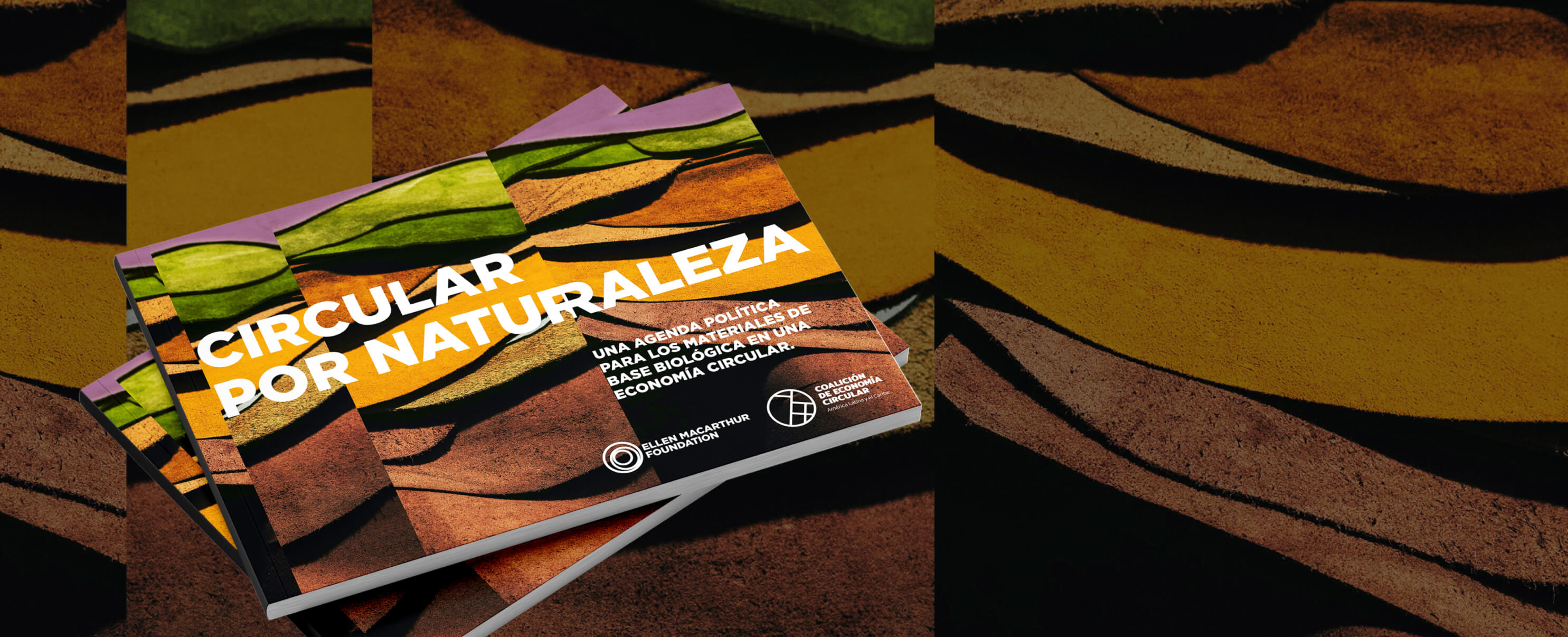 Circular by nature report cover