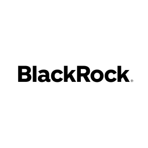 Logo for Black Rock 