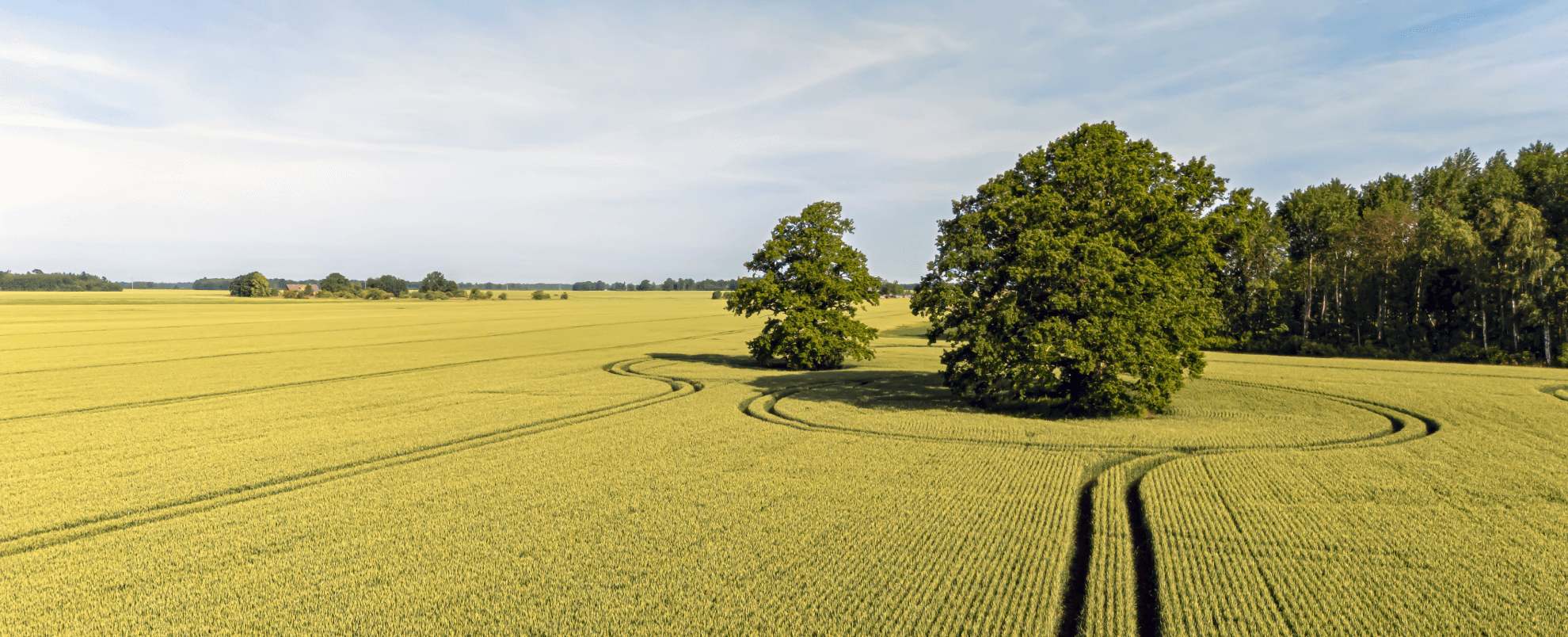 Farmers' field with tractor tracks in a circle