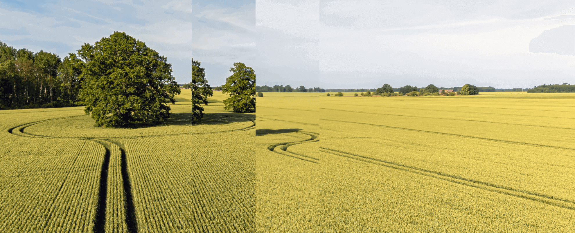 Farmers' field with tractor tracks in a circle