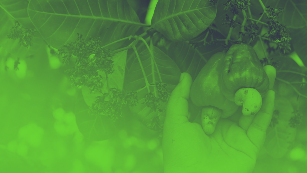 An image of a box of food. 