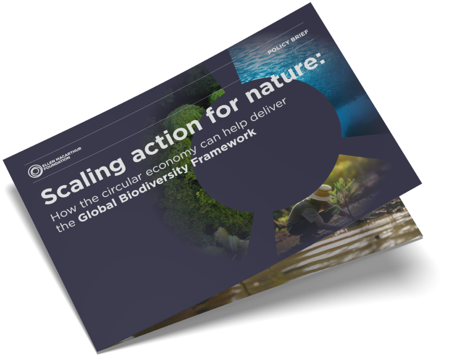 Report cover of Scaling action for nature: How the circular economy can help deliver the Global Biodiversity Framework