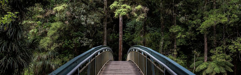 A high-quality image showing the nature outdoors and a bridge