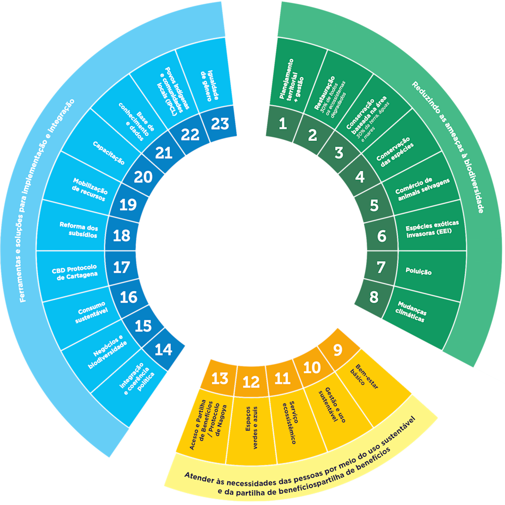 Biodiversity framework Diagram