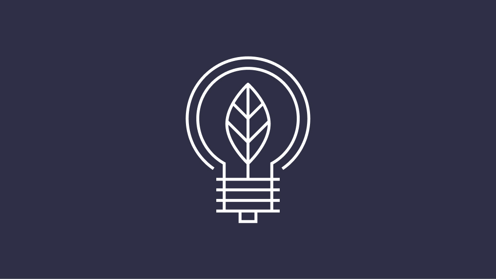 lightbulb icon