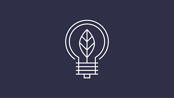 lightbulb icon