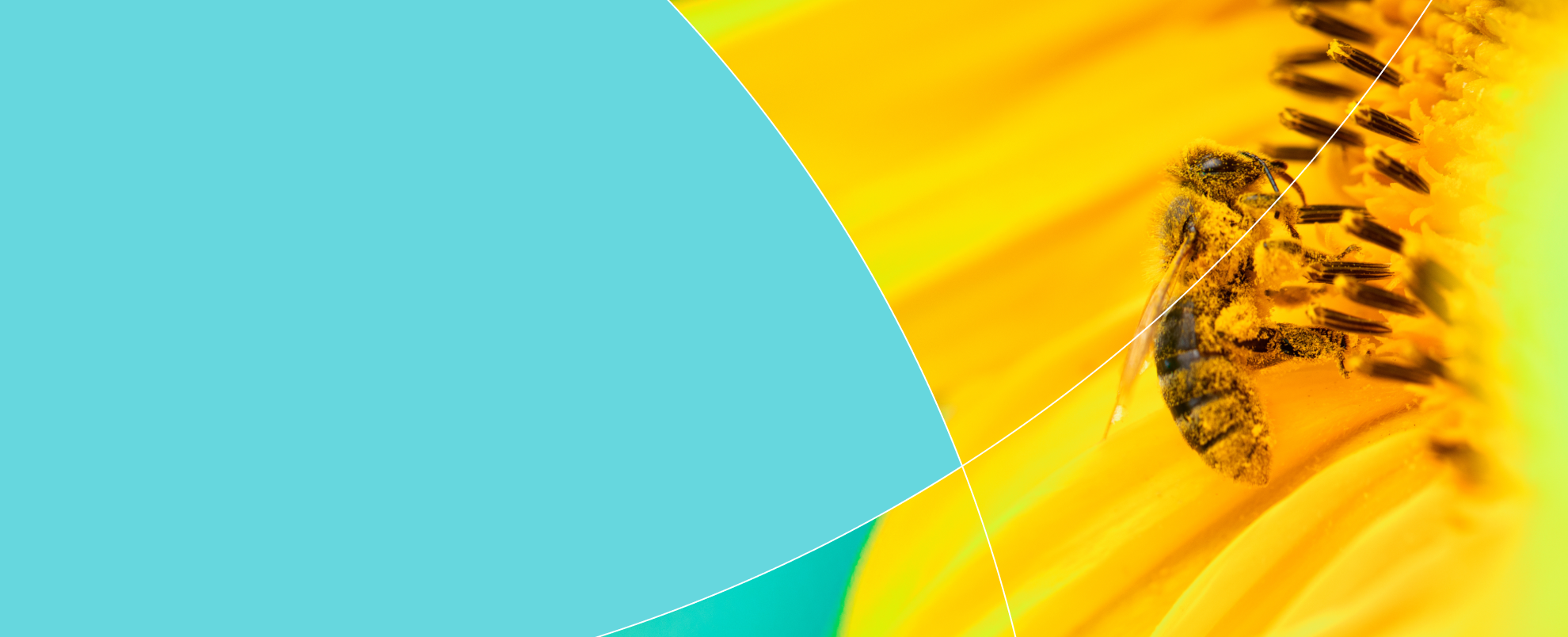 keystone event masthead image of a bee