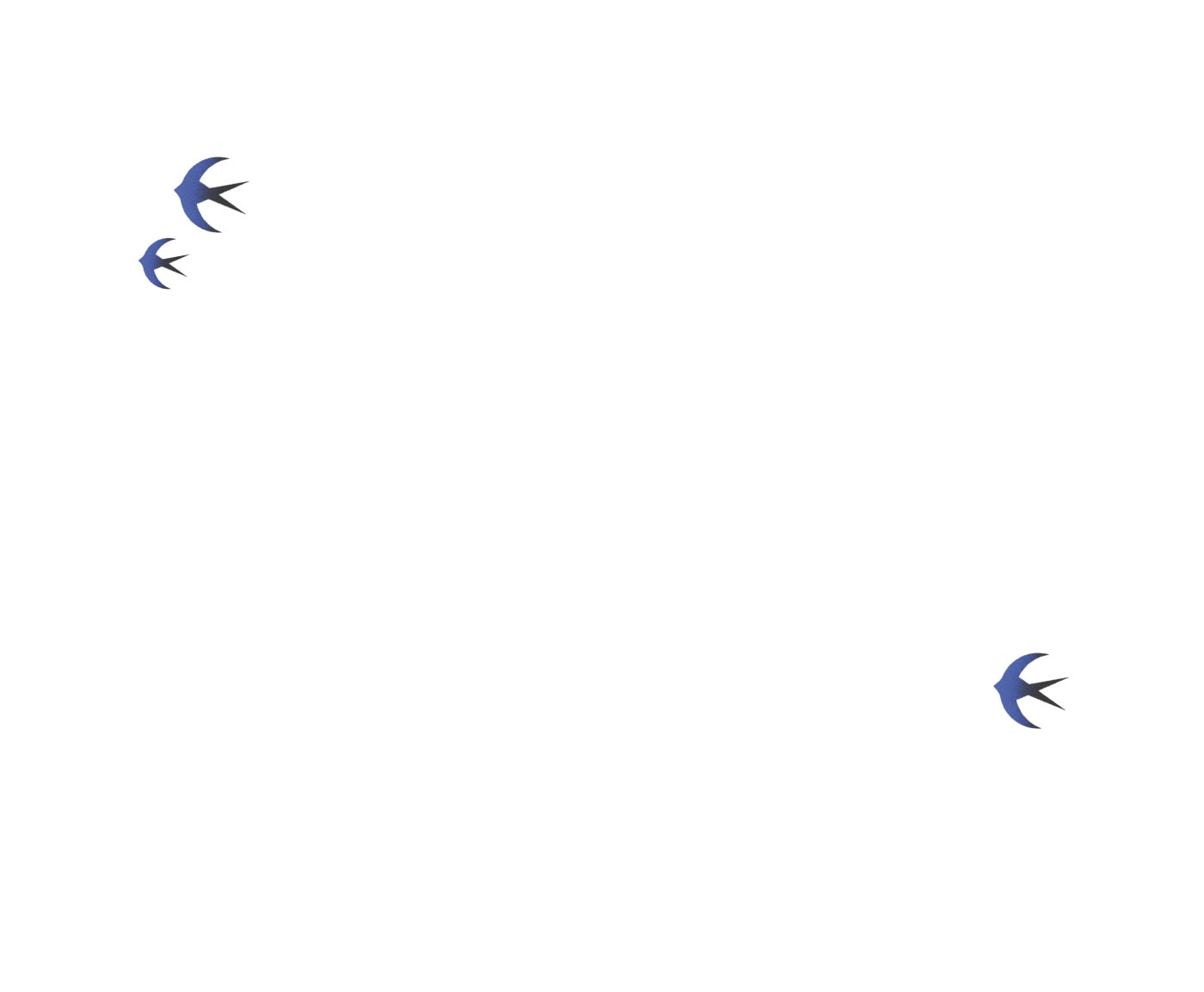 Bird illustration on white background