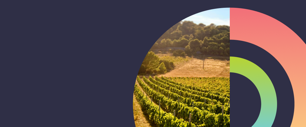 Photo of agricultural field with abstract circles