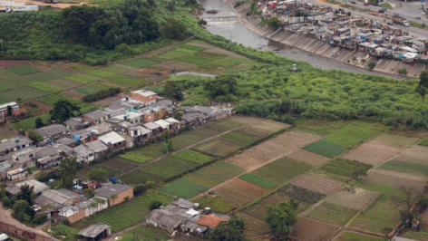 Listing image for circular example connect the dots or Sao Palo farmland