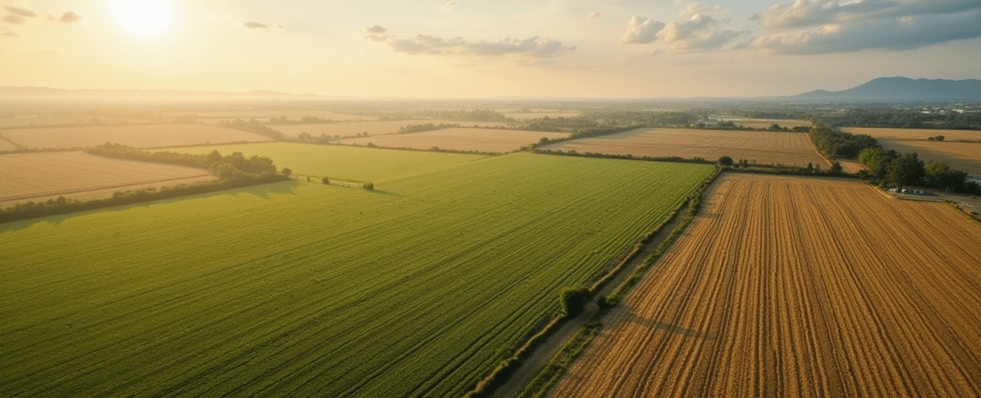 Farming fields