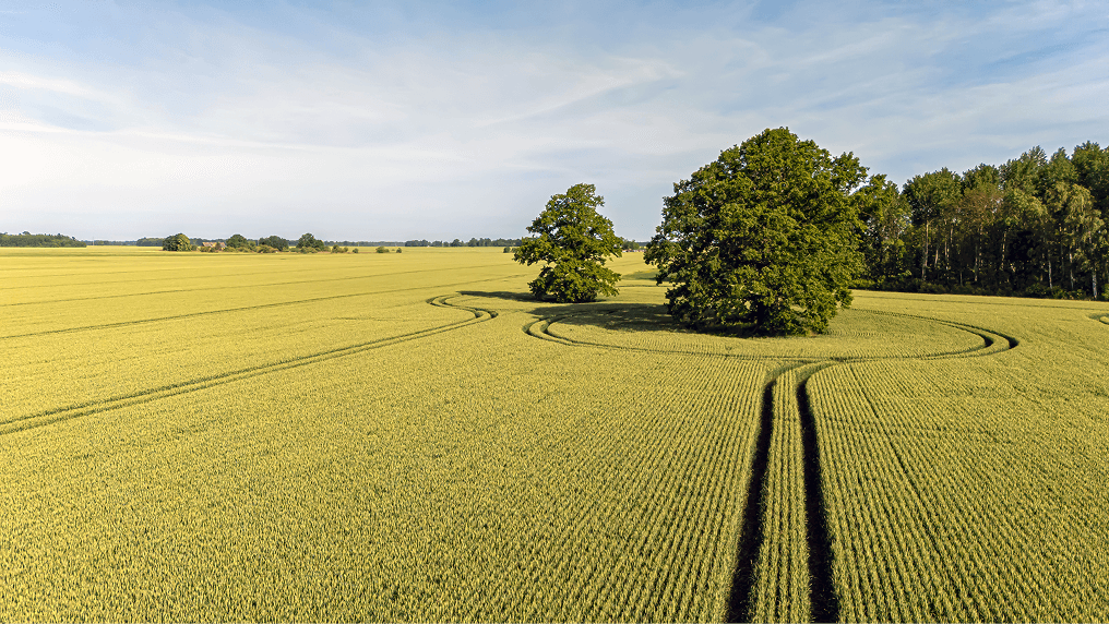 Farmers' field with tractor tracks in a circle