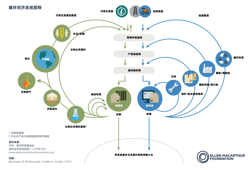 Butterfly diagram infographic