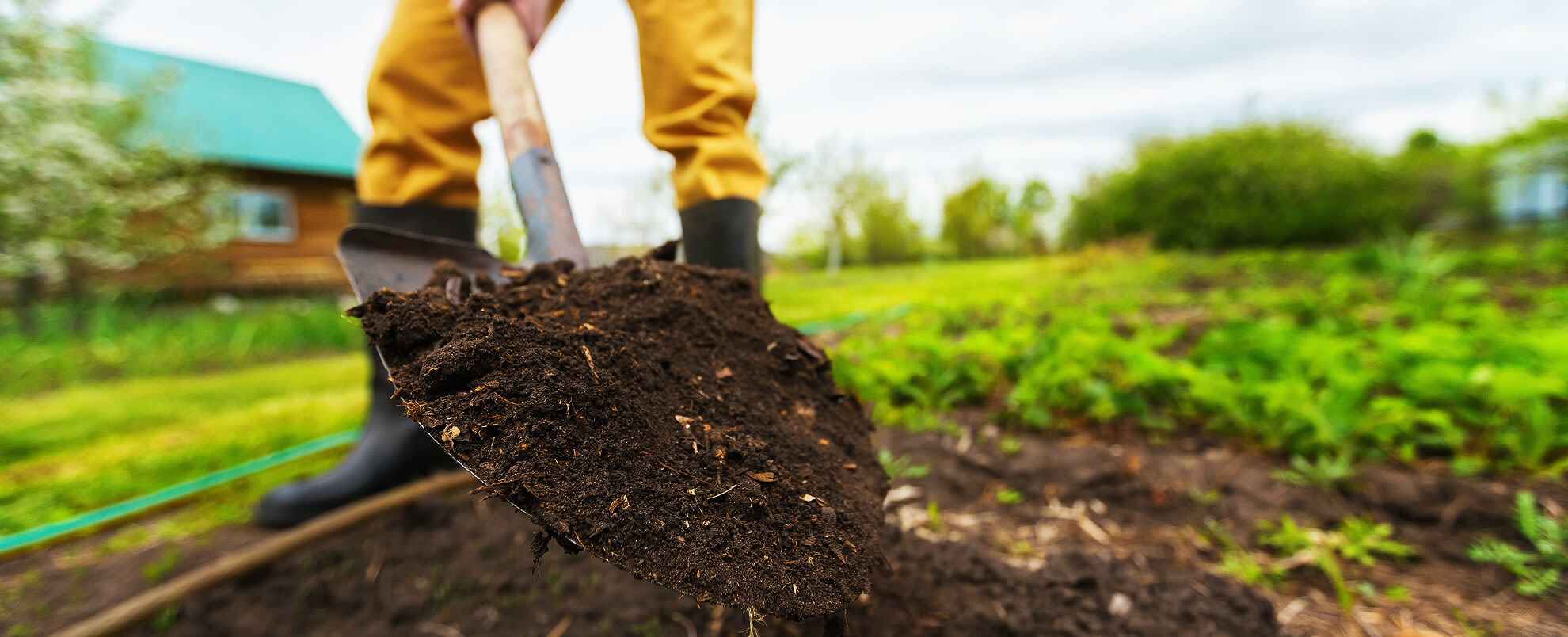 A someone with yellow trousers and boots digging soil with a spade.