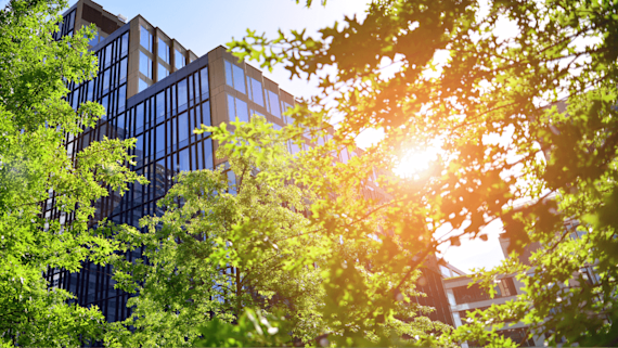 City building and trees