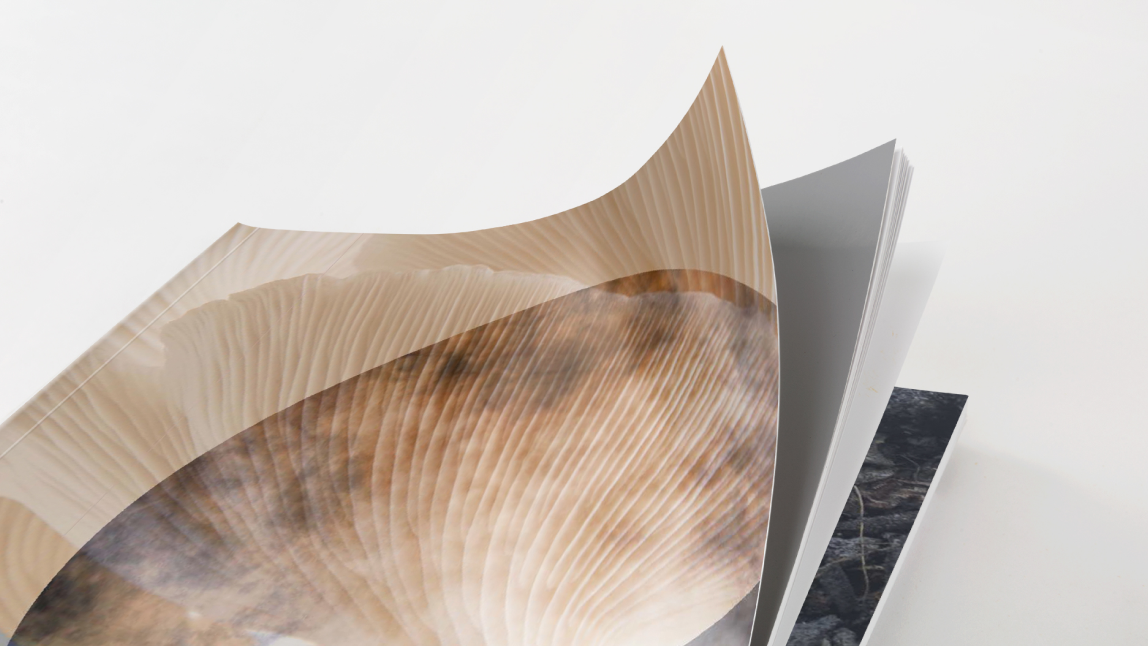 Urban biocycles report front cover