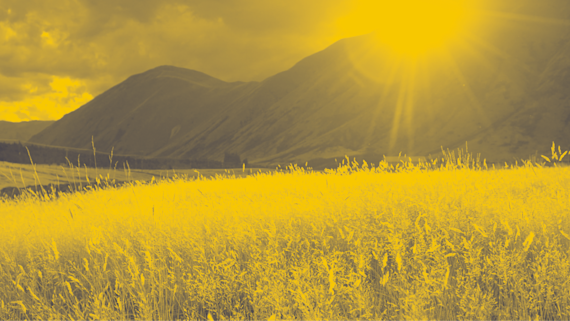 An image of mountains and a field with a yellowed-tinged filter over the image.