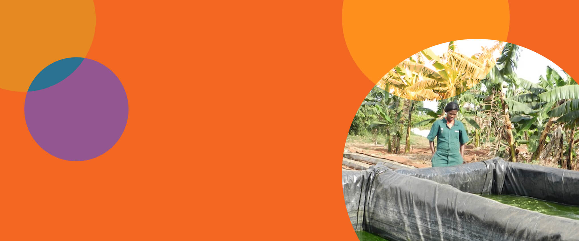 Abstract pattern with photo