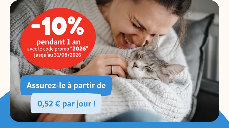 img-header-mobile-chaton-dans-les-bras