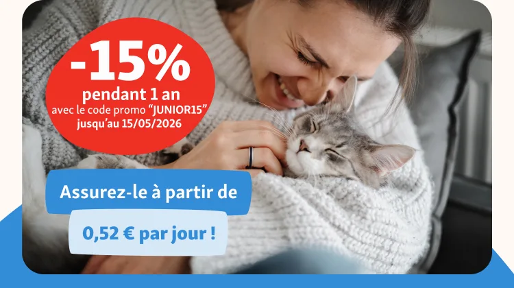 img-header-mobile-chaton