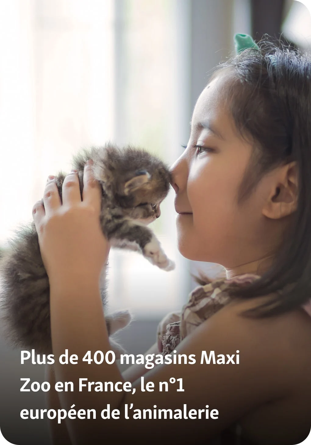 img-desktop-atouts-chaton