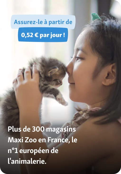 chaton