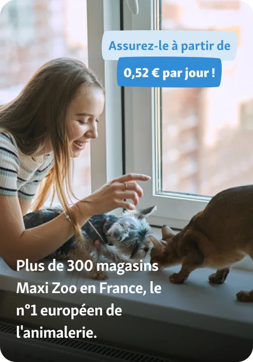 fille-chien-chat-atouts-maxizoo-assurance